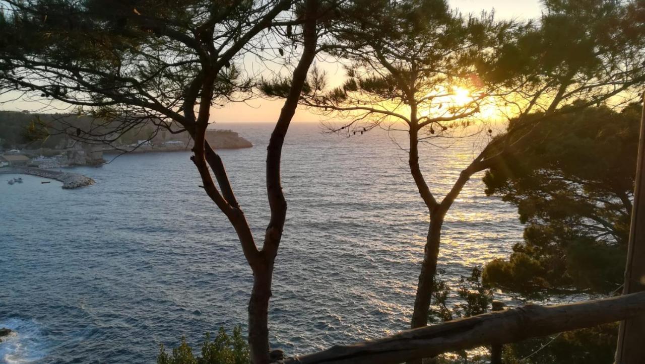 Yourhome - San Valerio Home Sorrento Kültér fotó